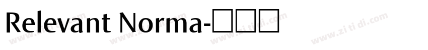 Relevant Norma字体转换